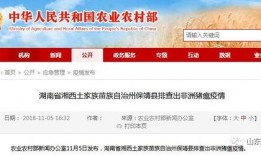 竹山农香最新爆料新闻视频,最新爆料视频深度解析