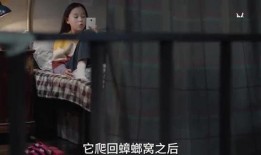 小黄大爆料全集视频,揭秘全集视频背后的惊人真相