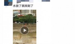 五台网友爆料新闻视频,惊曝新闻视频背后真相揭晓