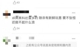 张恒爆料网站大全视频在线观看,独家视频在线观看攻略