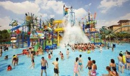 海上乐园爆料视频大全,独家爆料视频大盘点