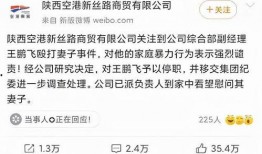 家暴爆料新闻视频,视频曝光惊人一幕