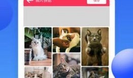 爆料照片p图教程视频,从爆料照片到完美变身的全过程