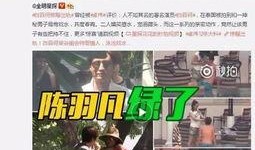 丁姐爆料视频大全下载免费,免费下载，揭秘娱乐圈幕后真相