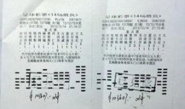 网友爆料彩票视频网址,彩票视频网址引发热议