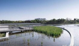 郑州双鹤湖最新爆料,未来城市新地标崛起