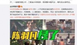 沈猛爆料视频大全集,揭秘娱乐圈不为人知的真相