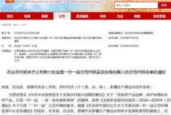 八村最新爆料消息新闻,揭秘幕后真相，独家新闻解读！”