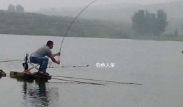 钓鱼人爆料视频,真实水下世界，惊心动魄的捕鱼瞬间