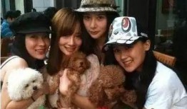 天涯爆料娱乐圈李小璐,李小璐事件深度解析