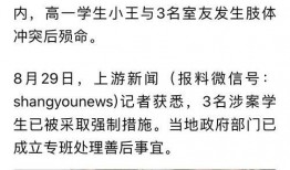 湖北襄樊市爆料新闻事件,真相与影响深度解析