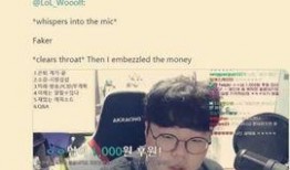 麦蔻爆料嘴哥视频大全最新,揭秘网络红人背后的故事