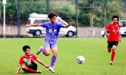 全国足球爆料最新消息,最新赛事动态及热点事件盘点