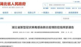 湖北新闻爆料电话号码,守护民声，助力公平正义