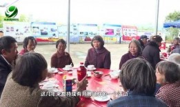 永春新闻爆料,揭秘当地重大事件背后真相