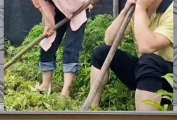 娱乐八卦 吃瓜群众,吃瓜群众揭秘明星幕后故事