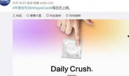 热点爆料相片制作视频,从相片到视频的视觉奇旅