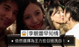 狗仔王力宏爆料视频,揭秘娱乐圈不为人知的一面