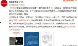 河北网上视频爆料,揭秘当地热点事件背后的真相