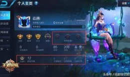 爆料王者英雄配乐视频下载,探寻游戏音乐背后的故事与魅力