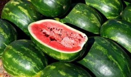 免费吃瓜应用,带你畅享娱乐盛宴，轻松解锁精彩瞬间