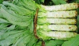 原神莴苣妈妈爆料视频大全,揭秘游戏幕后故事与精彩瞬间