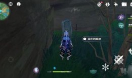 原神惩罚爆料怎么做的视频,轻松上手，打造热门内容