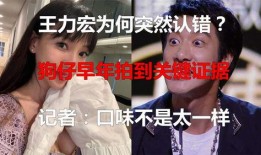 狗仔王力宏爆料视频,揭秘娱乐圈不为人知的一面
