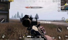 刺激战场最新体验服爆料