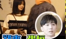 张恒爆料网站大全视频在线观看,独家视频在线观看攻略