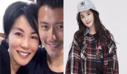 杨幂谢霆锋最新爆料,揭秘娱乐圈背后的惊人真相