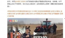 辉南县媒体爆料事件视频,真相与争议交织