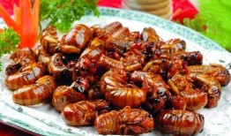 最新新康饭菜爆料图片