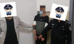 草神爆料人被抓视频,揭秘网络爆料背后的法律风险