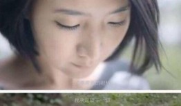 娱乐圈木子爆料视频合集,揭秘明星幕后故事