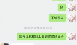 鹤轩大姐爆料聊天记录视频,揭秘聊天记录视频背后的惊人真相