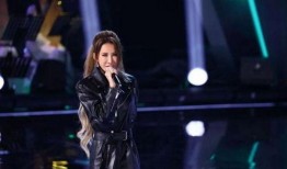 王泽鹏爆料后续视频播放,事件真相再引热议