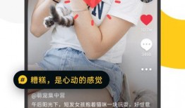 求爆料小视频网站,求爆料小视频网站背后的秘密与影响