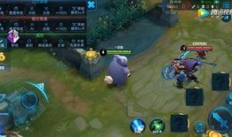 爆料王者英雄配乐视频下载,探寻游戏音乐背后的故事与魅力