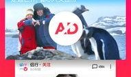 综艺吃瓜素材视频下载免费,免费素材视频下载攻略