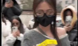 前排吃瓜娱乐八卦,前排吃瓜，揭秘明星幕后故事