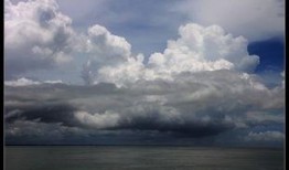 在线观看海之遥,探寻海洋深处的神秘与奇迹