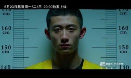 余罪电视剧在线观看,卧底风云，正义与罪恶的较量