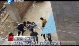 河南爆料女孩视频曝光事件,河南爆料女孩视频事件引发社会关注
