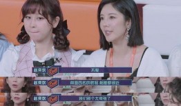 娱乐明星吃瓜主播小说