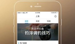 垂钓频道在线直播观看,实时捕捉钓鱼乐趣，尽享自然之美