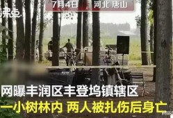 最新唐山爆料案件视频,真相揭露，正义终将到来