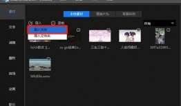 吃瓜素材视频下载软件免费,免费下载吃瓜素材，畅享视频盛宴