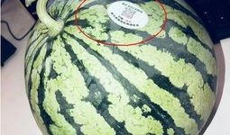 网红吃瓜2000,揭秘娱乐圈幕后真相