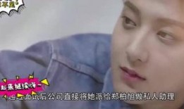 告白 全集在线观看,揭秘校园爱情与复仇的纠葛